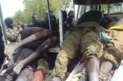 Article : Boko Haram : pour une fin si tragique ?