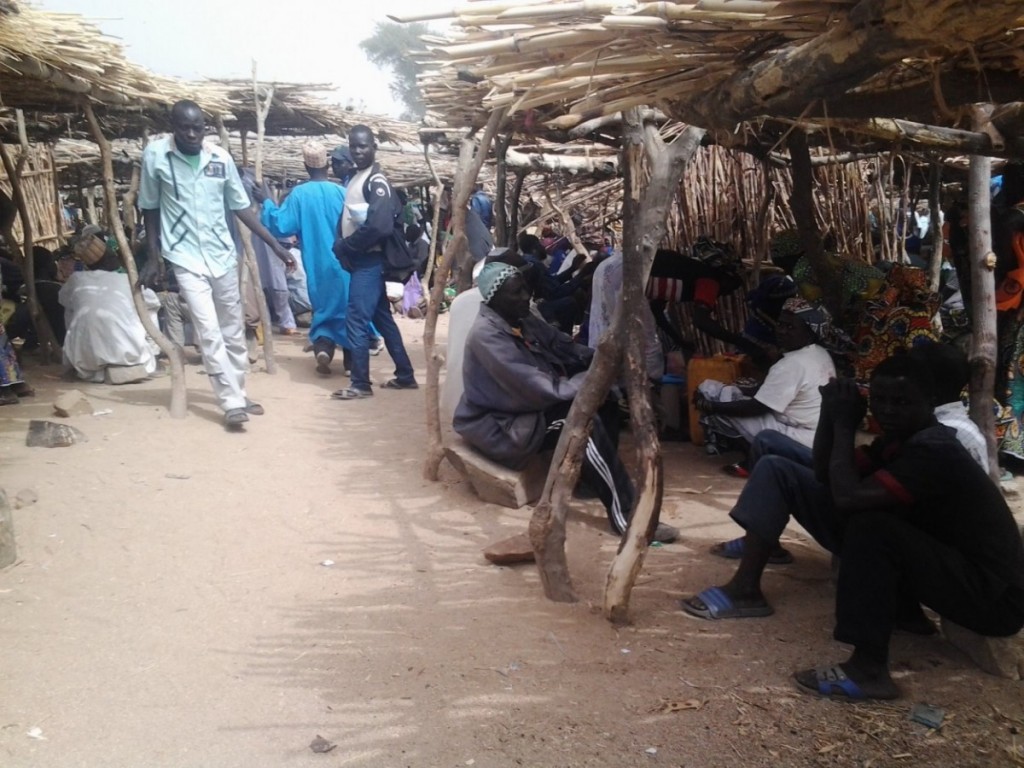 Article : Parce qu&rsquo;il faut sortir du cycle de la pauvret&eacute;.