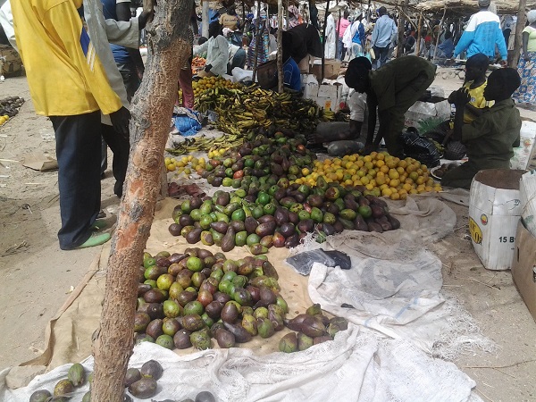Article : Le marché de Zamaï en marche.