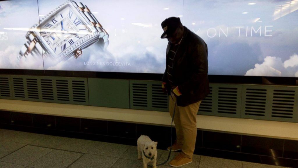 Article : Ad&egrave;le de Zurich