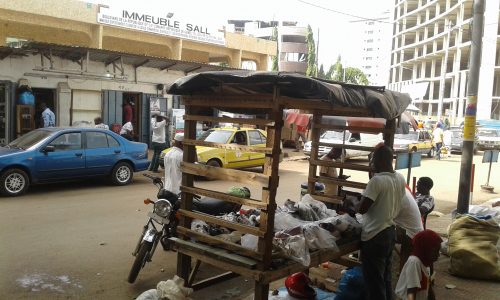 Article : Ma Guinée Plurielle, le marché du Niger (Chapitre 2)
