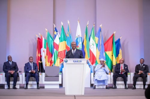 Article : Economie d’Afrique Centrale : résilience impérative !